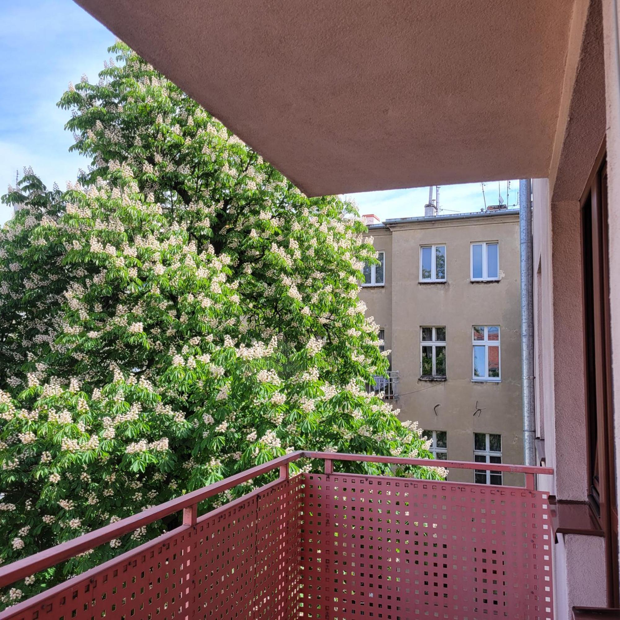 Aura Apartment Βρότσλαβ Εξωτερικό φωτογραφία